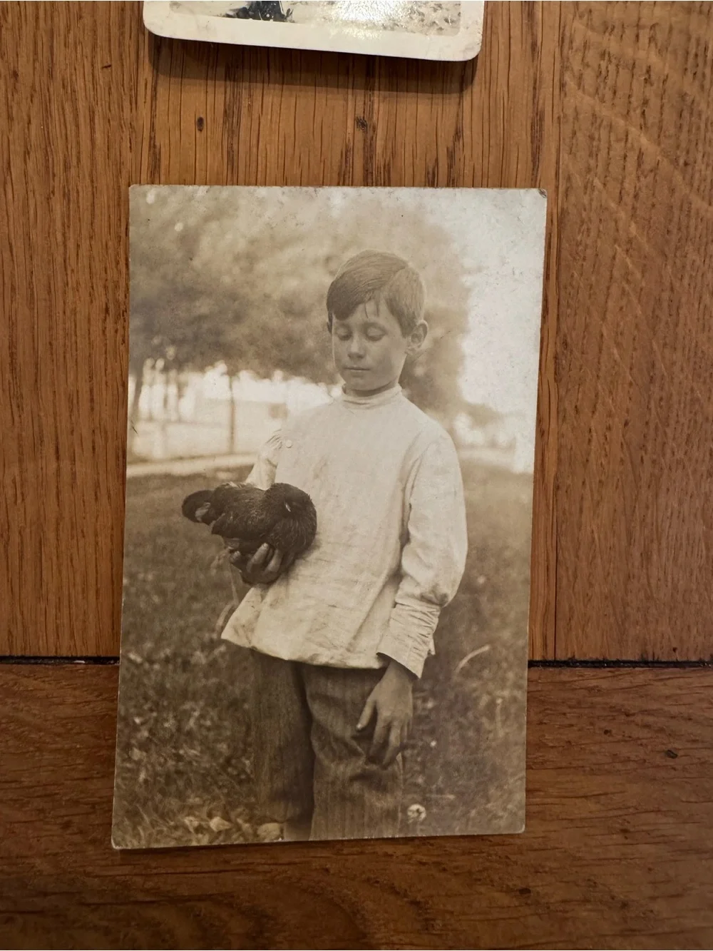Vintage Black and White Photographs Collection - Real photo postcards